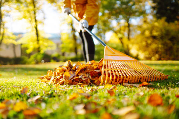 Fall Cleanup