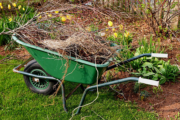 Spring Cleanup