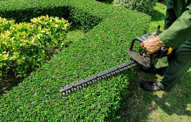 Trimming Services
